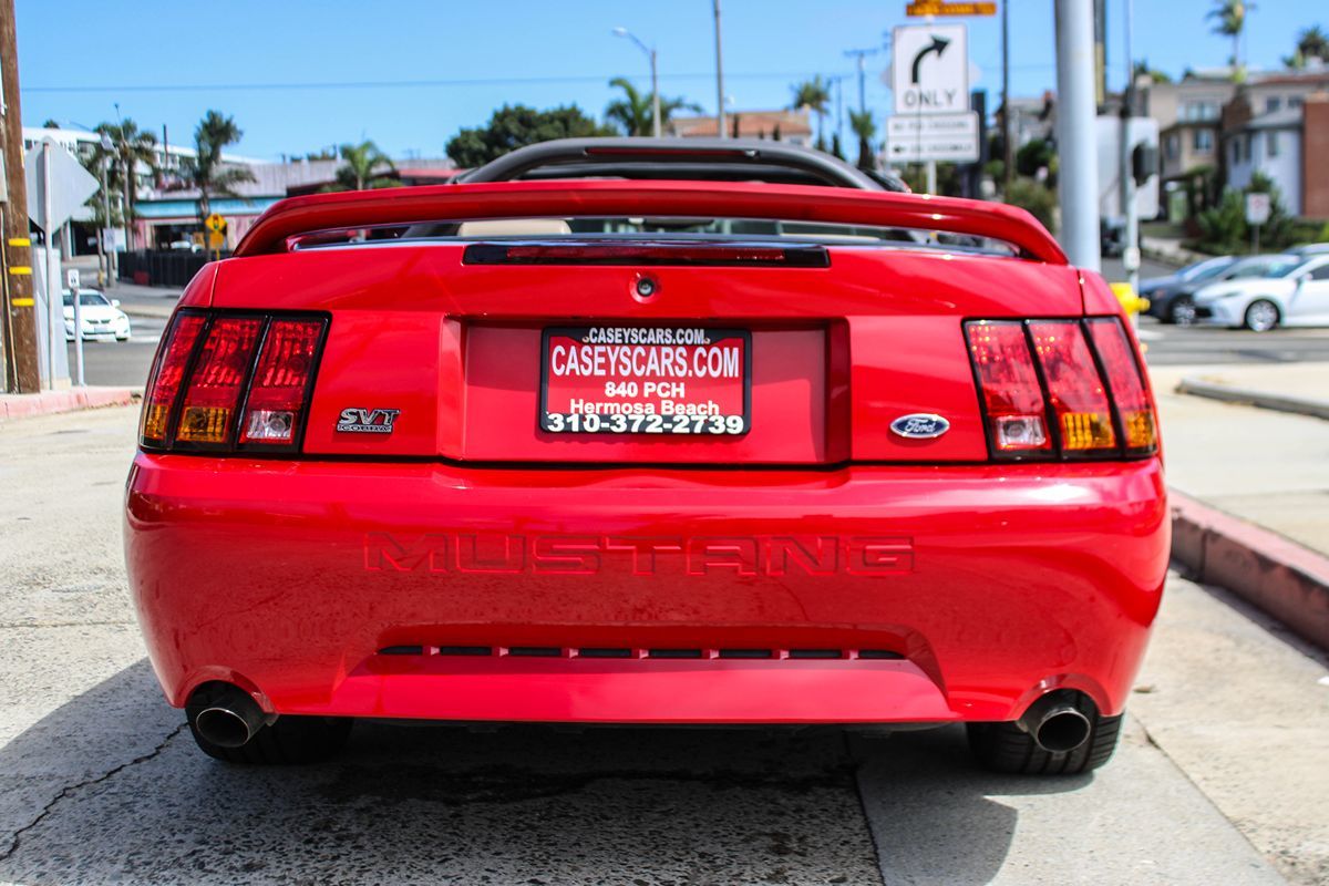 1999 Ford Mustang Cobra Convertible photo 5