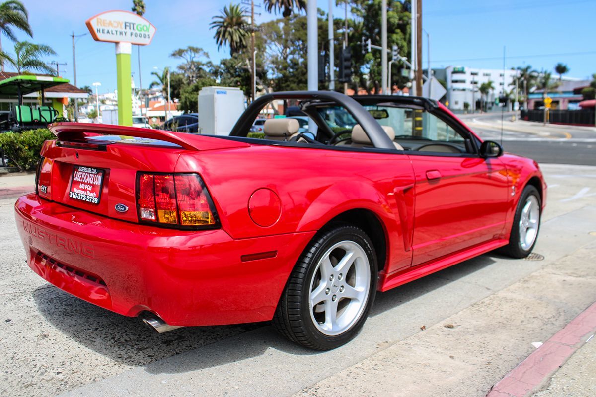 1999 Ford Mustang Cobra Convertible photo 6