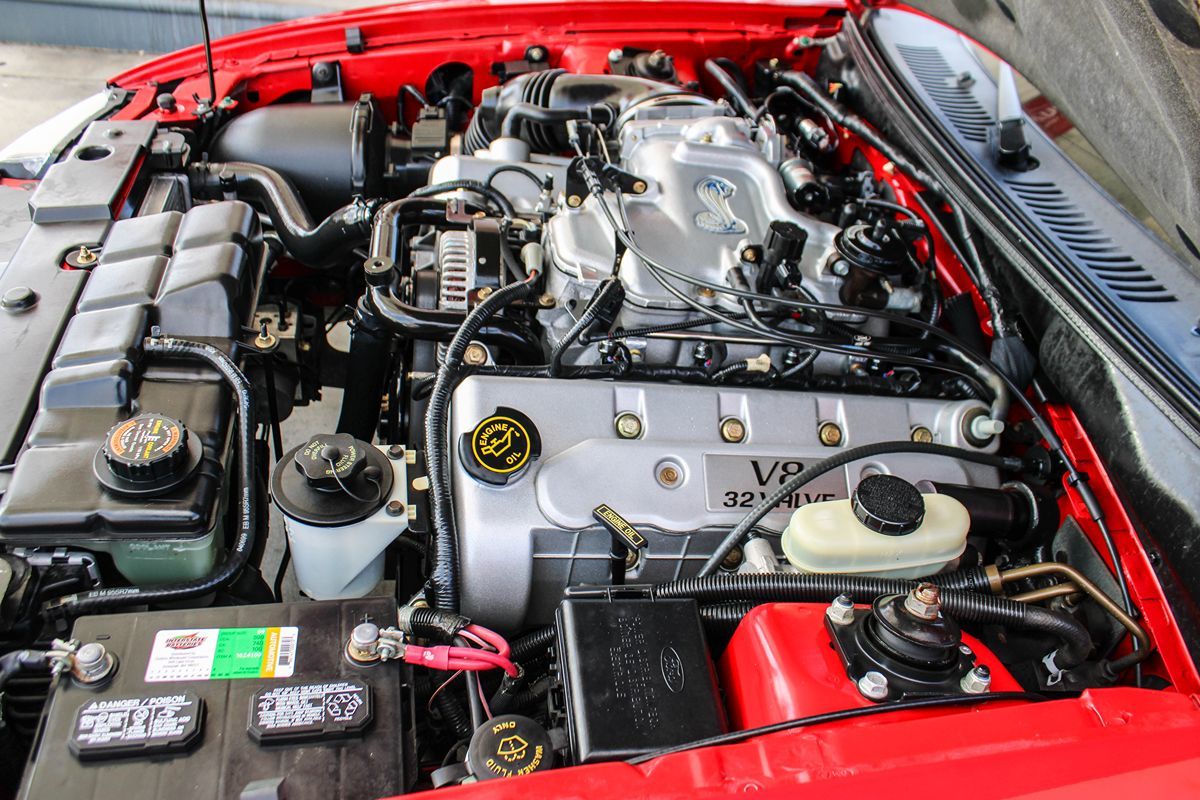 1999 Ford Mustang Cobra Convertible photo 12