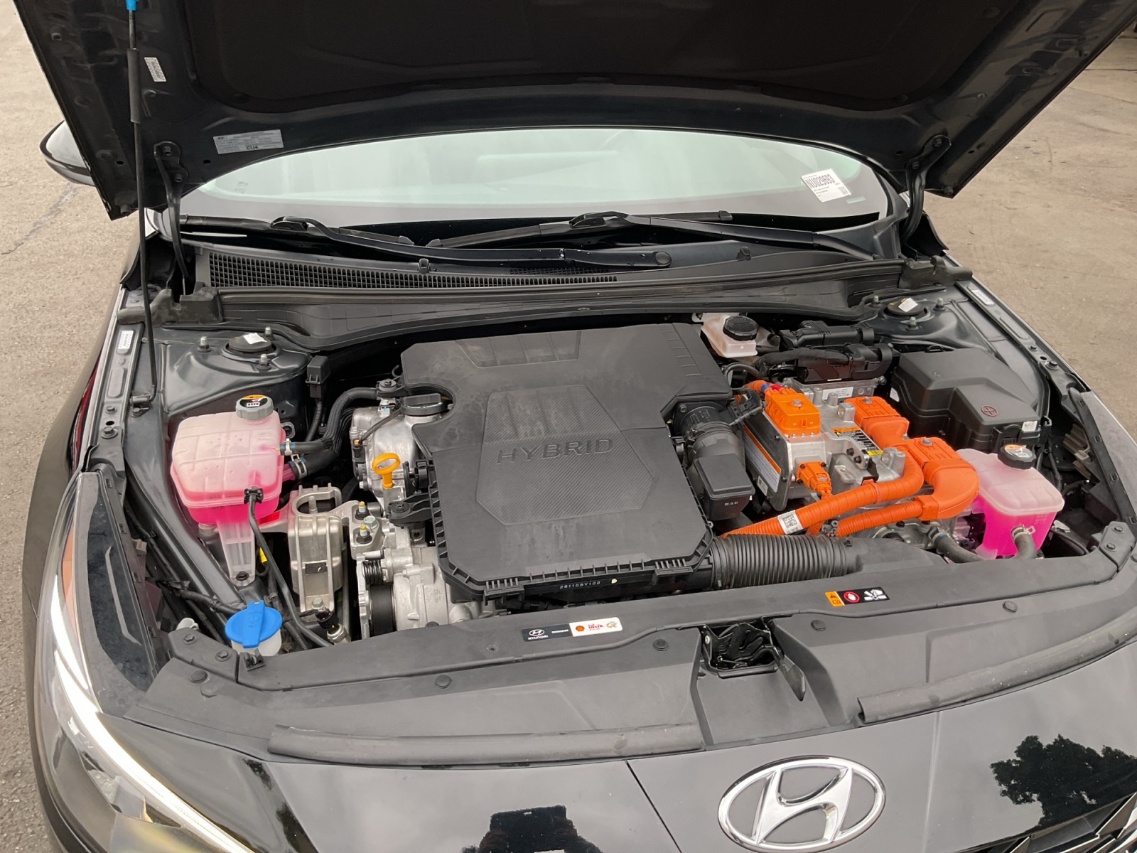 2022 Hyundai Elantra Hybrid Limited photo 22