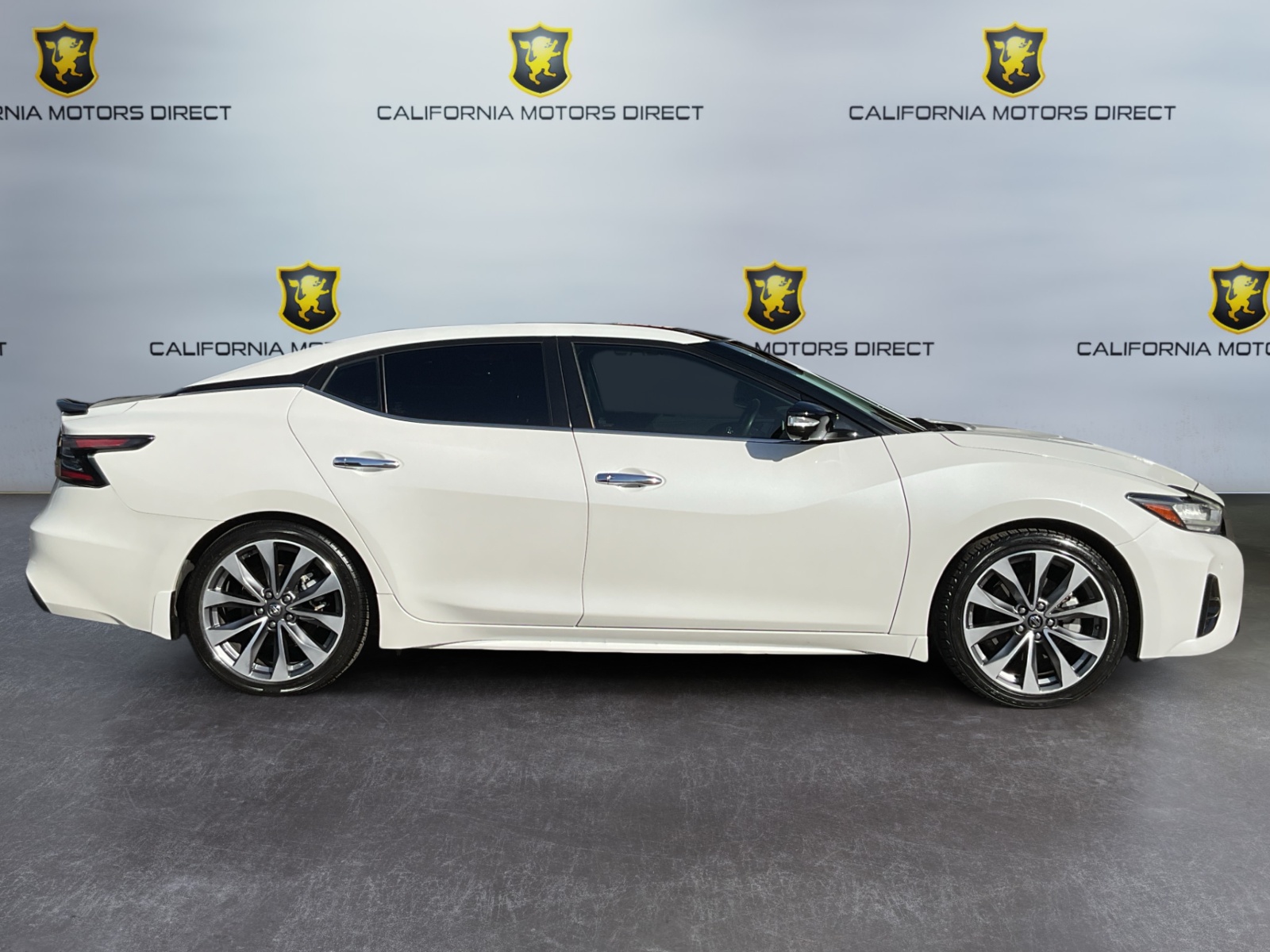 m*n様 Macodes petola Platinum 北スマトラ産 Sold 2021 Nissan Maxima Platinum in Santa Ana