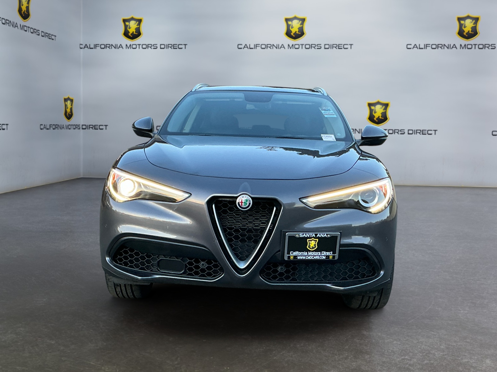 2019 Alfa Romeo Stelvio Ti photo 3