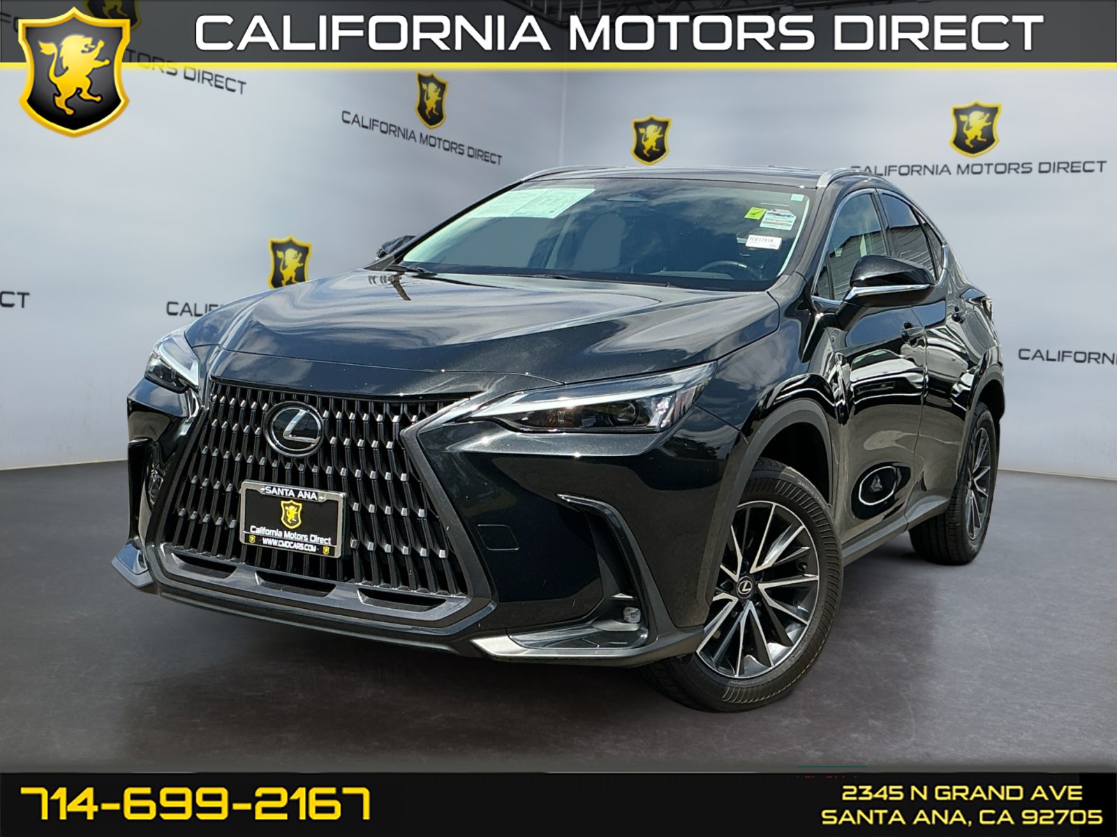2024 Lexus NX 350h 350h AWD's photo