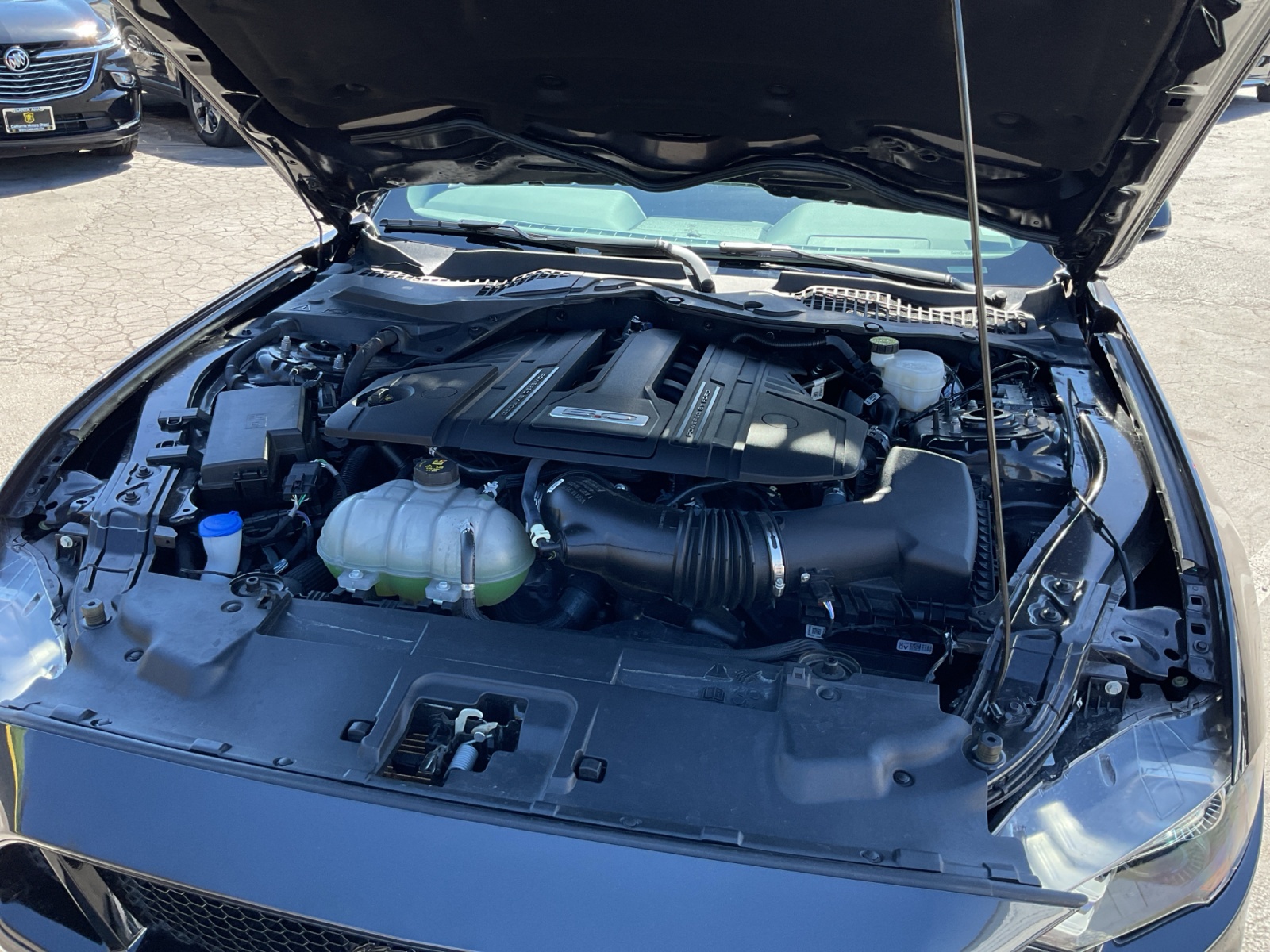 Image #23