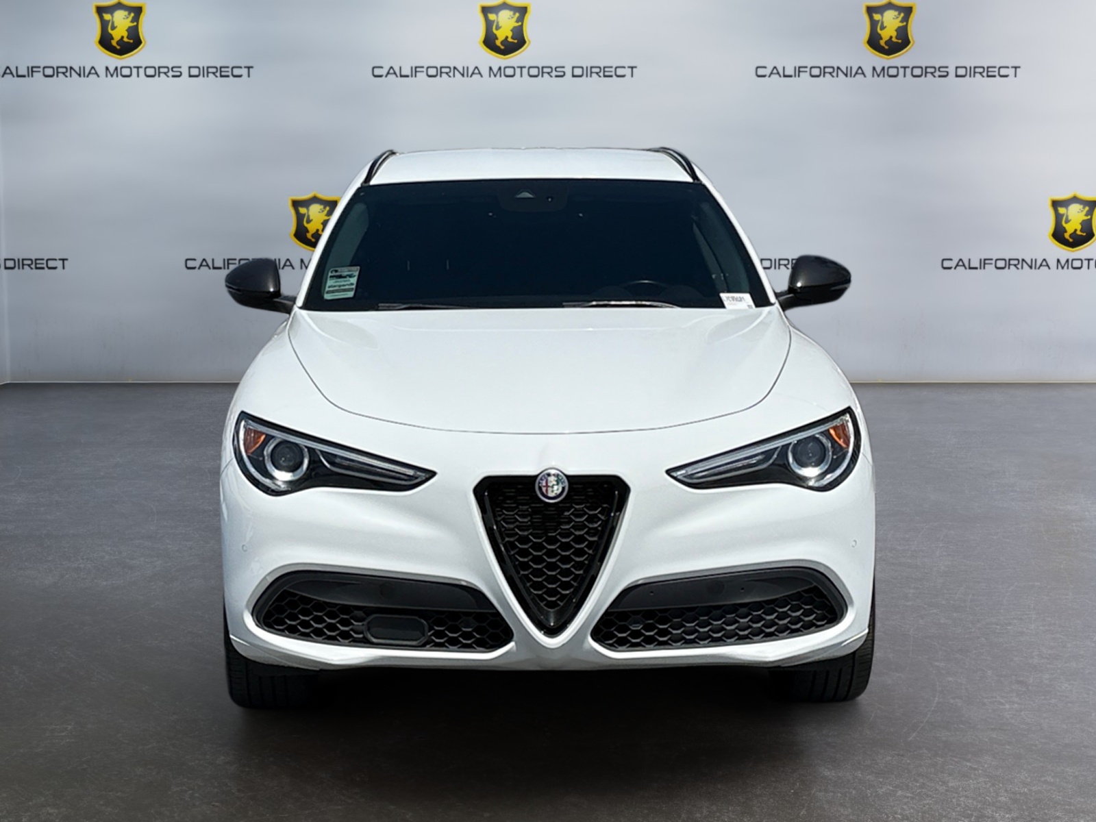 2020 Alfa Romeo Stelvio Ti photo 9