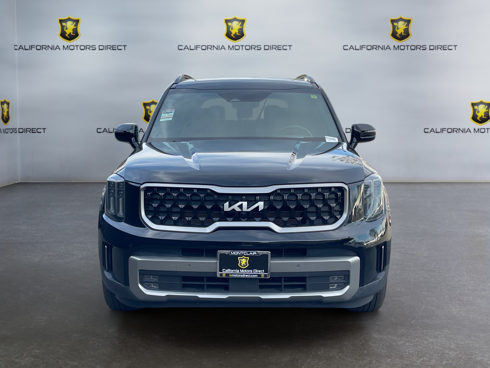 2023 Kia Telluride SX Prestige X-Line - Photo 8