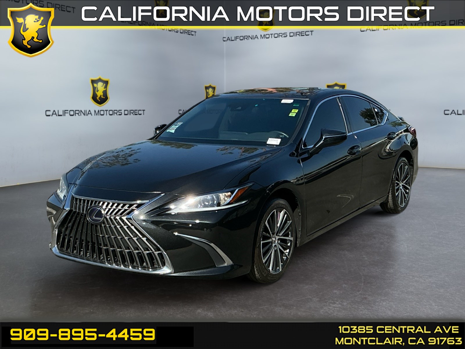 2022 Lexus ES 300h 300h's photo