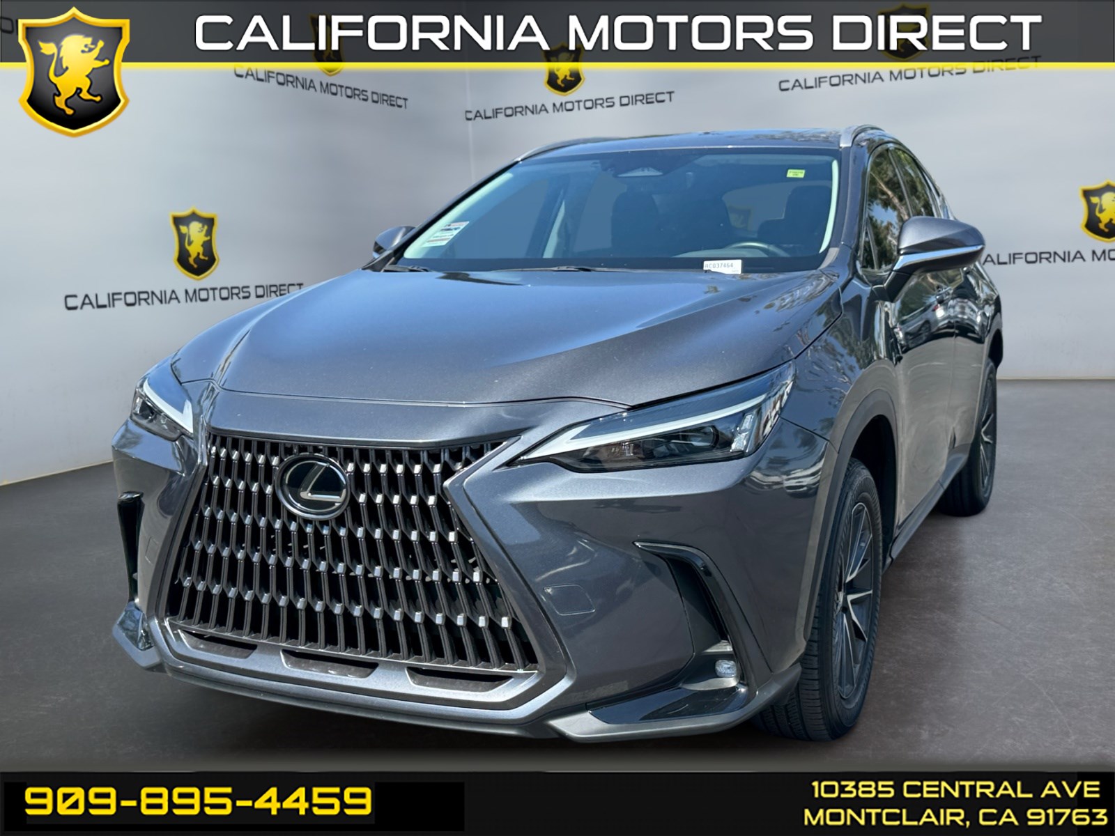 2024 Lexus NX 350 350 AWD's photo