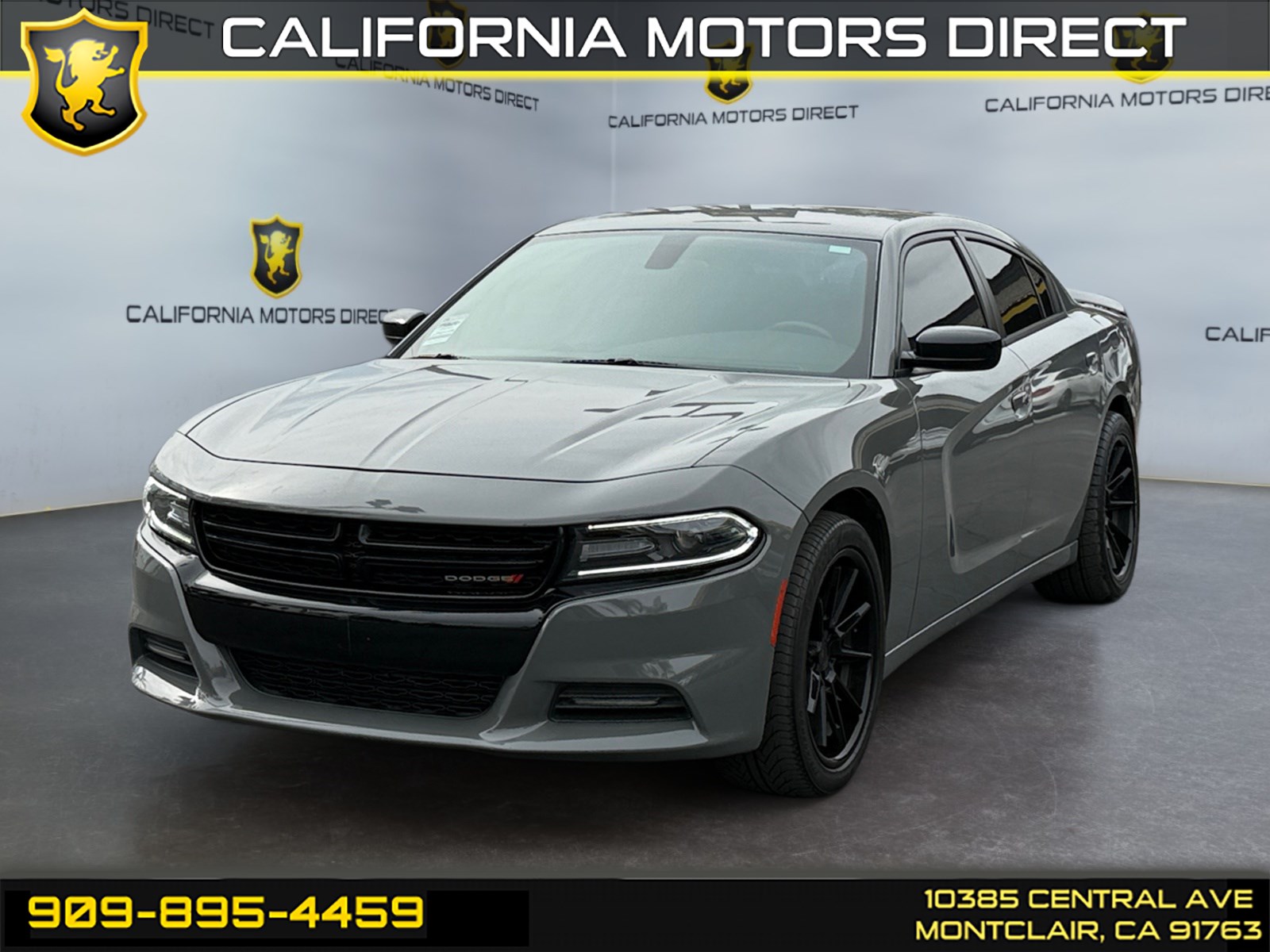 2019 Dodge Charger SXT's photo