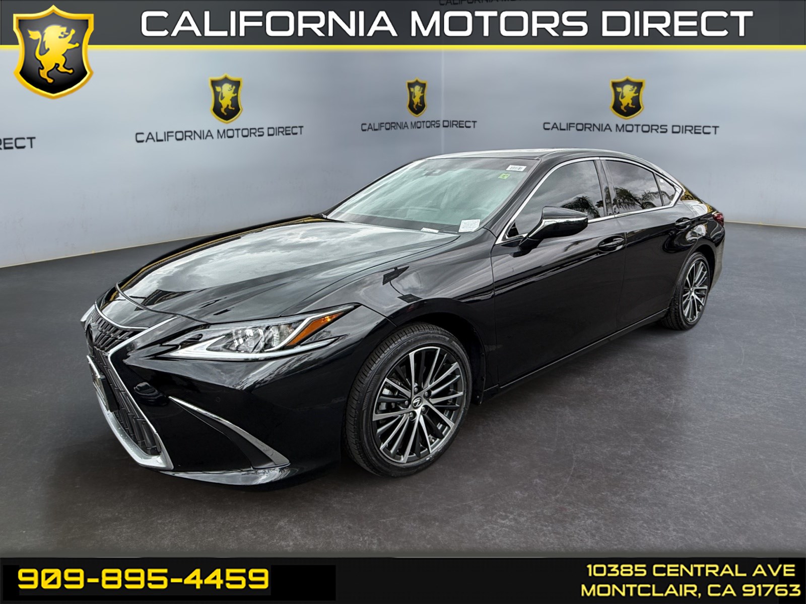 2024 Lexus ES 300h 300h's photo