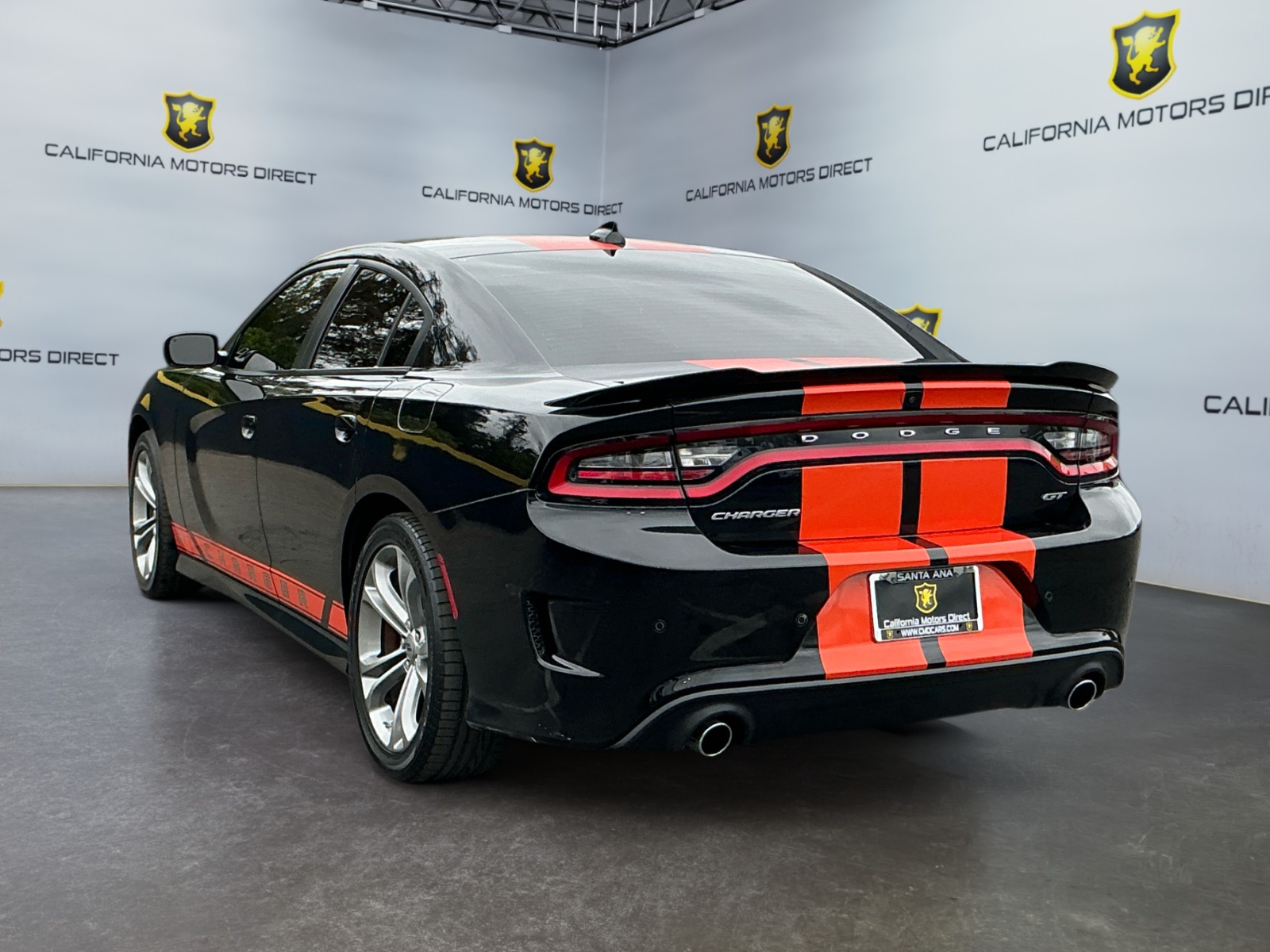 Image #7