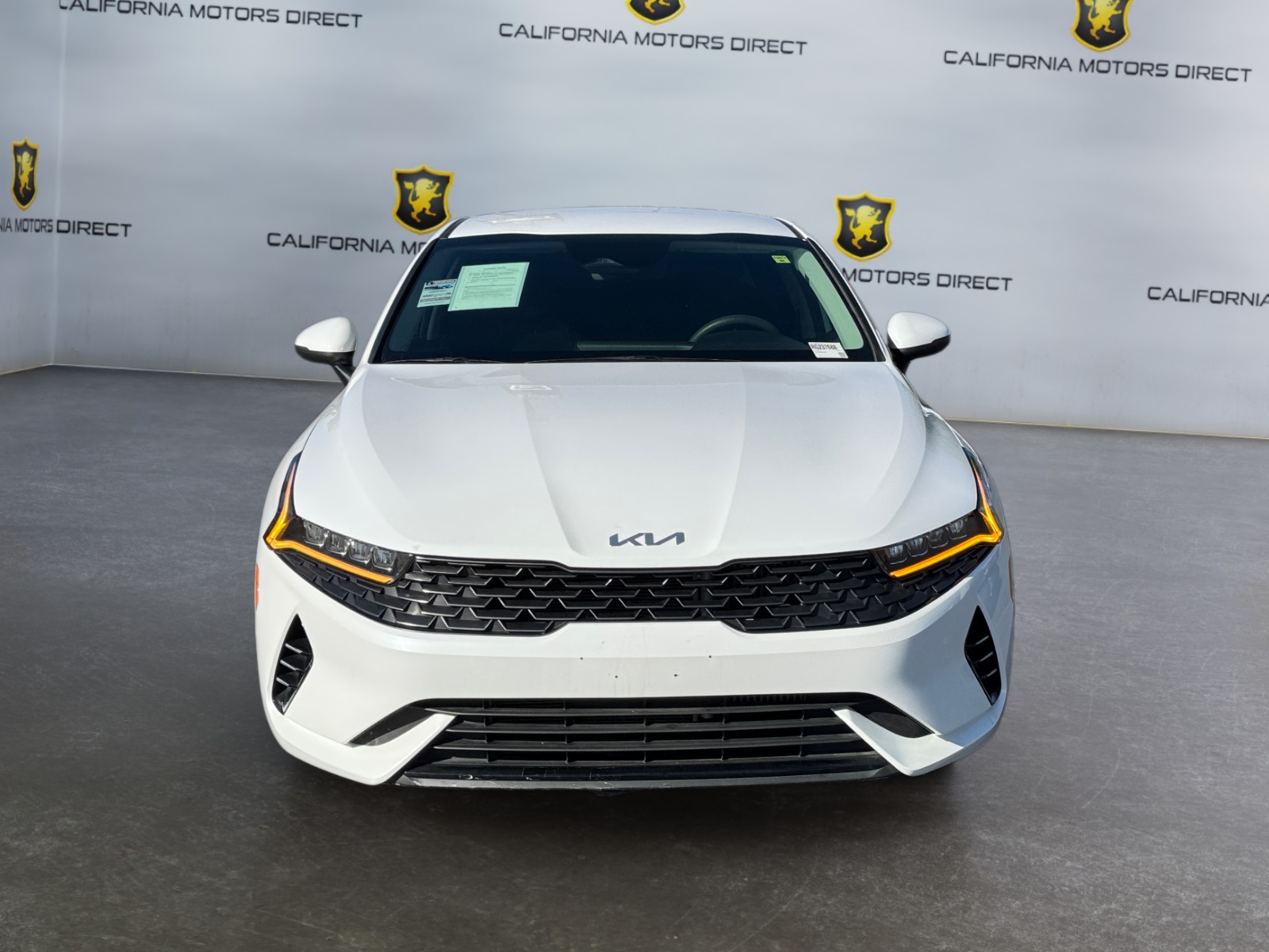 Image #8