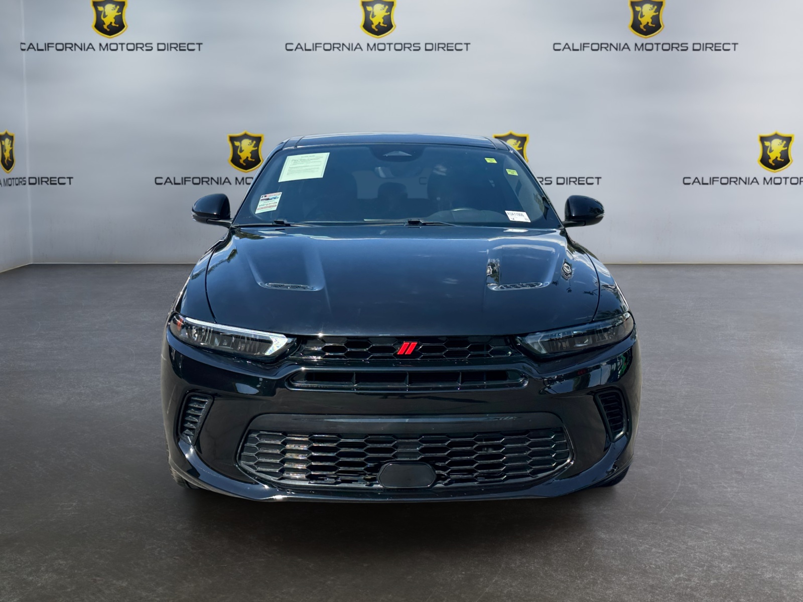 Dodge Hornet photo 8