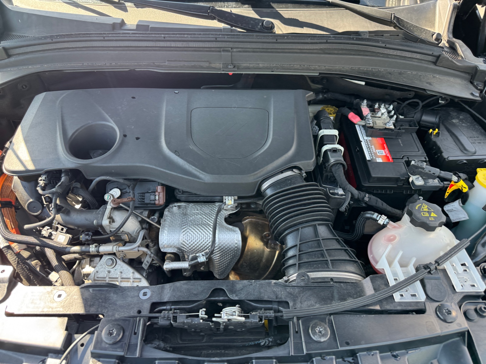Dodge Hornet photo 22