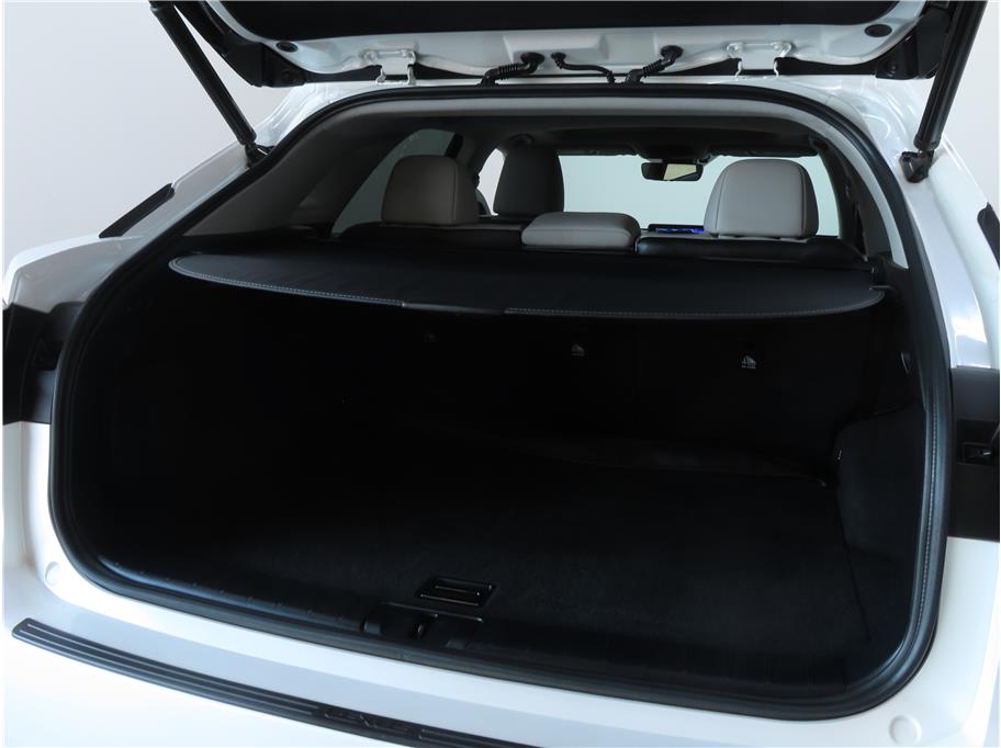 2019 Lexus RX 450h photo 8