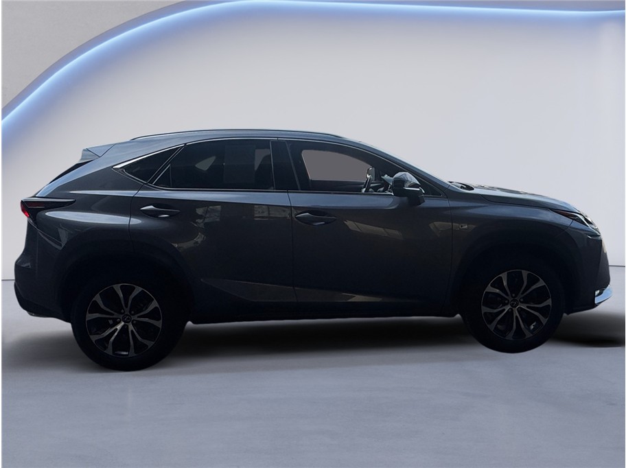 2016 Lexus NX 200t Luxury photo 4