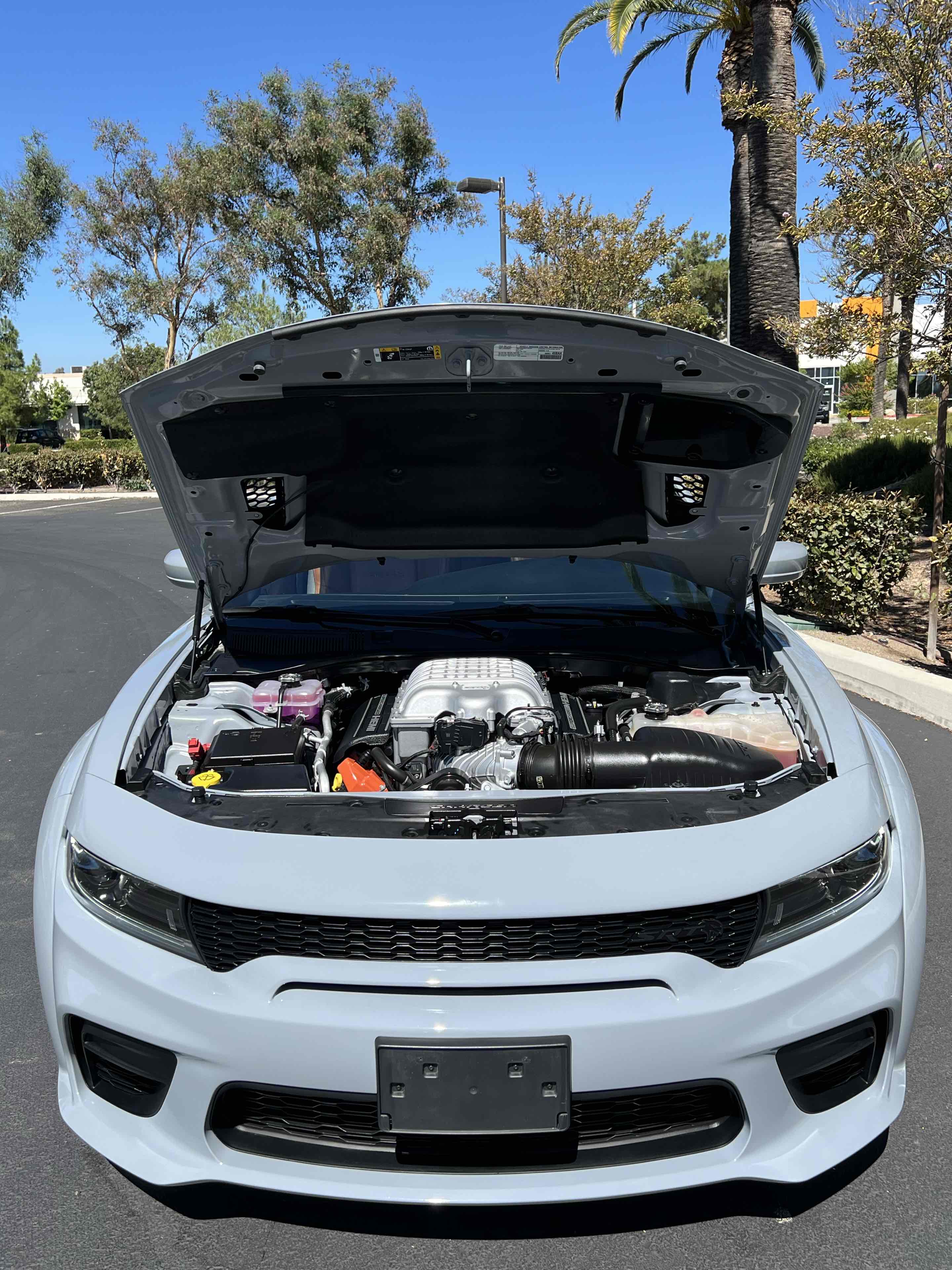 2022 Dodge Charger SRT8 Hellcat Widebody photo 22