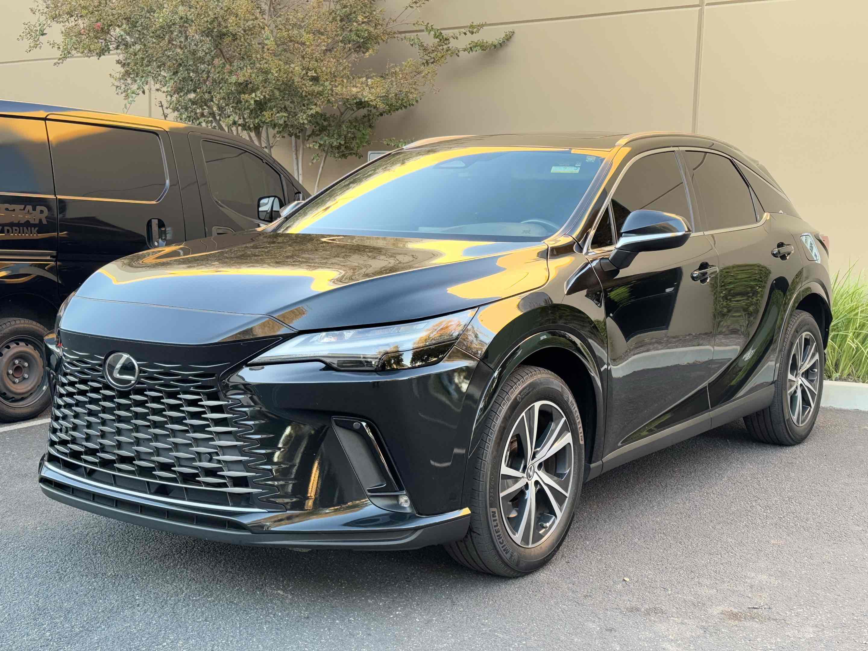 2023 Lexus RX 350h Premium photo 10