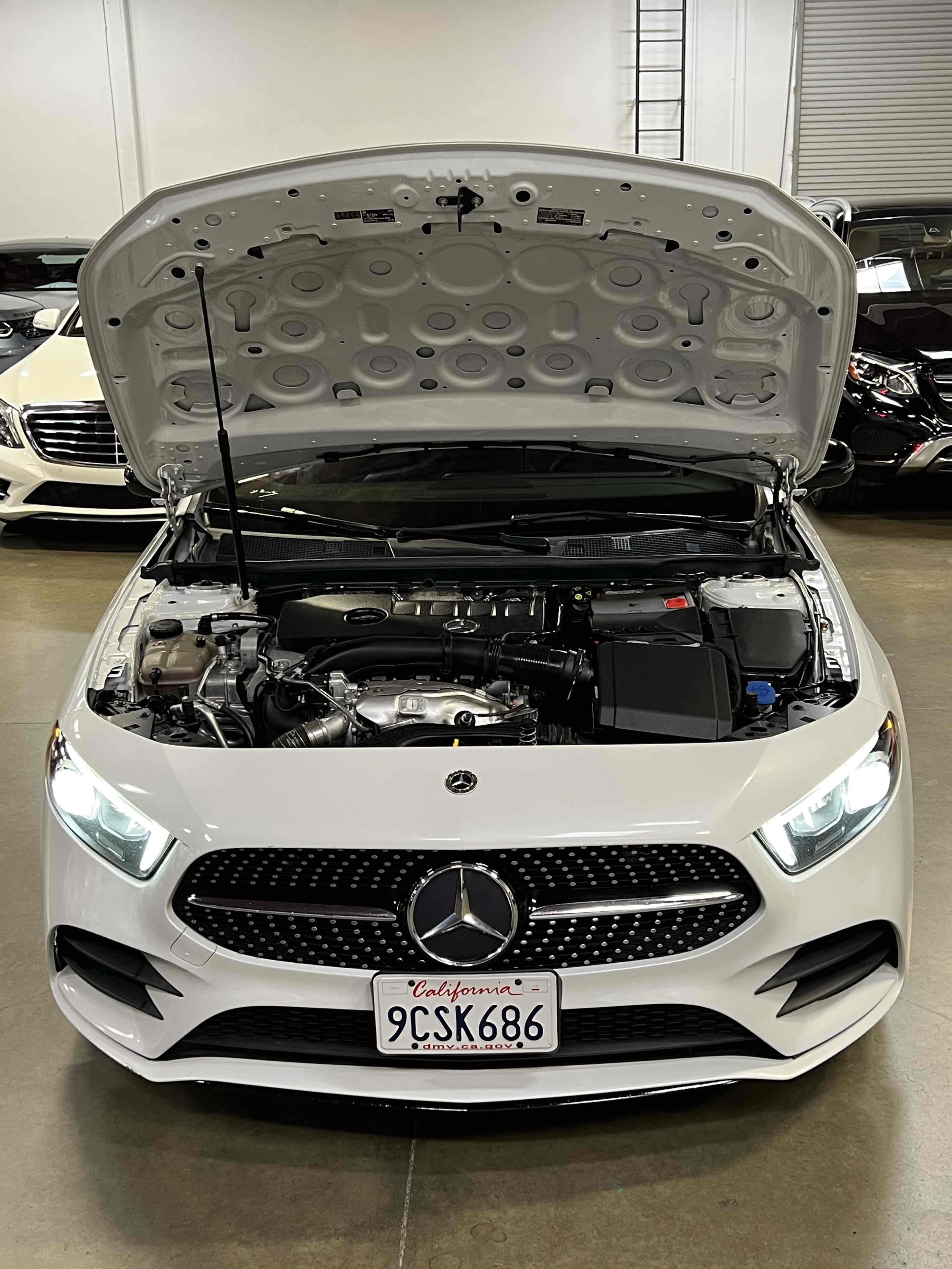Image #15