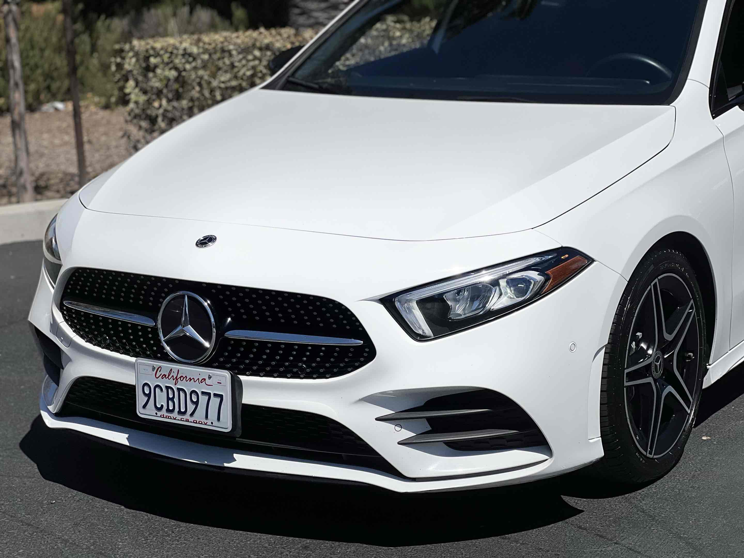 Image #43