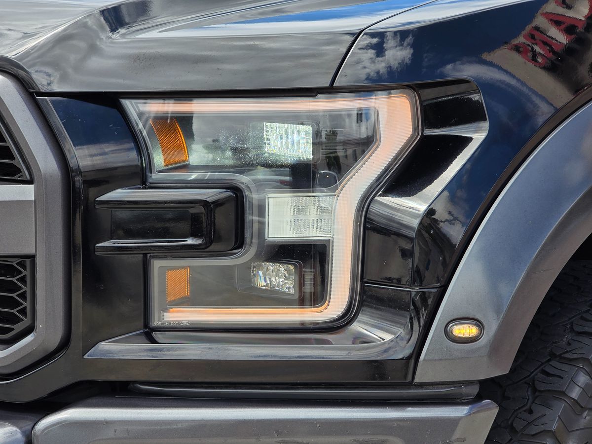 2017 Ford F-150 Raptor - Photo 6