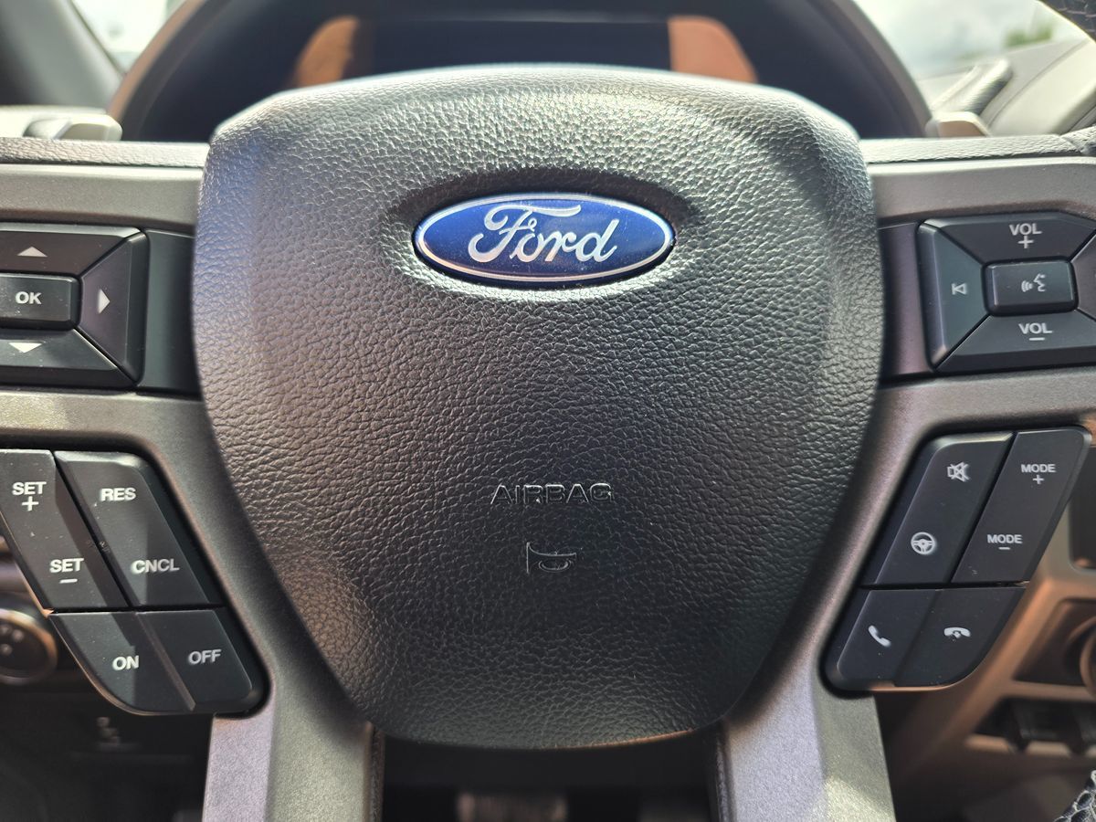 2017 Ford F-150 Raptor - Photo 33