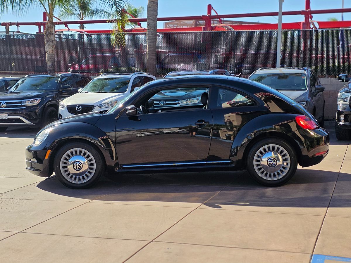 Volkswagen Beetle photo 9