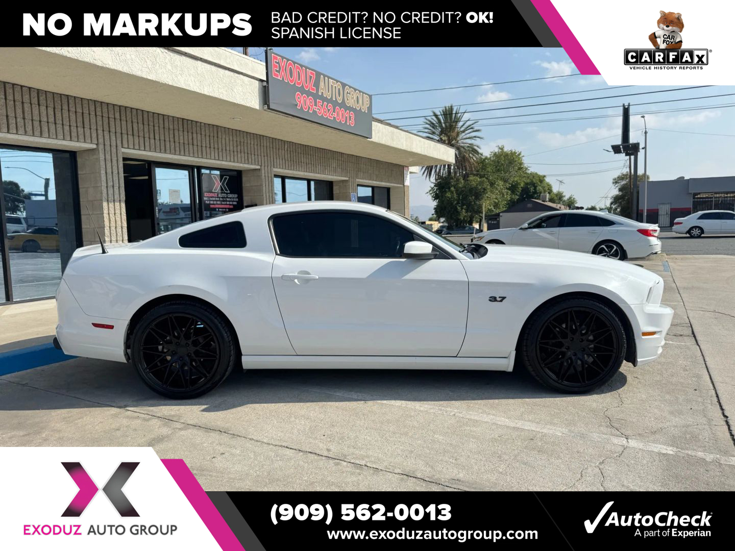 2014 Ford Mustang V6 Premium photo 8