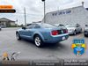 2006 Ford Mustang Deluxe