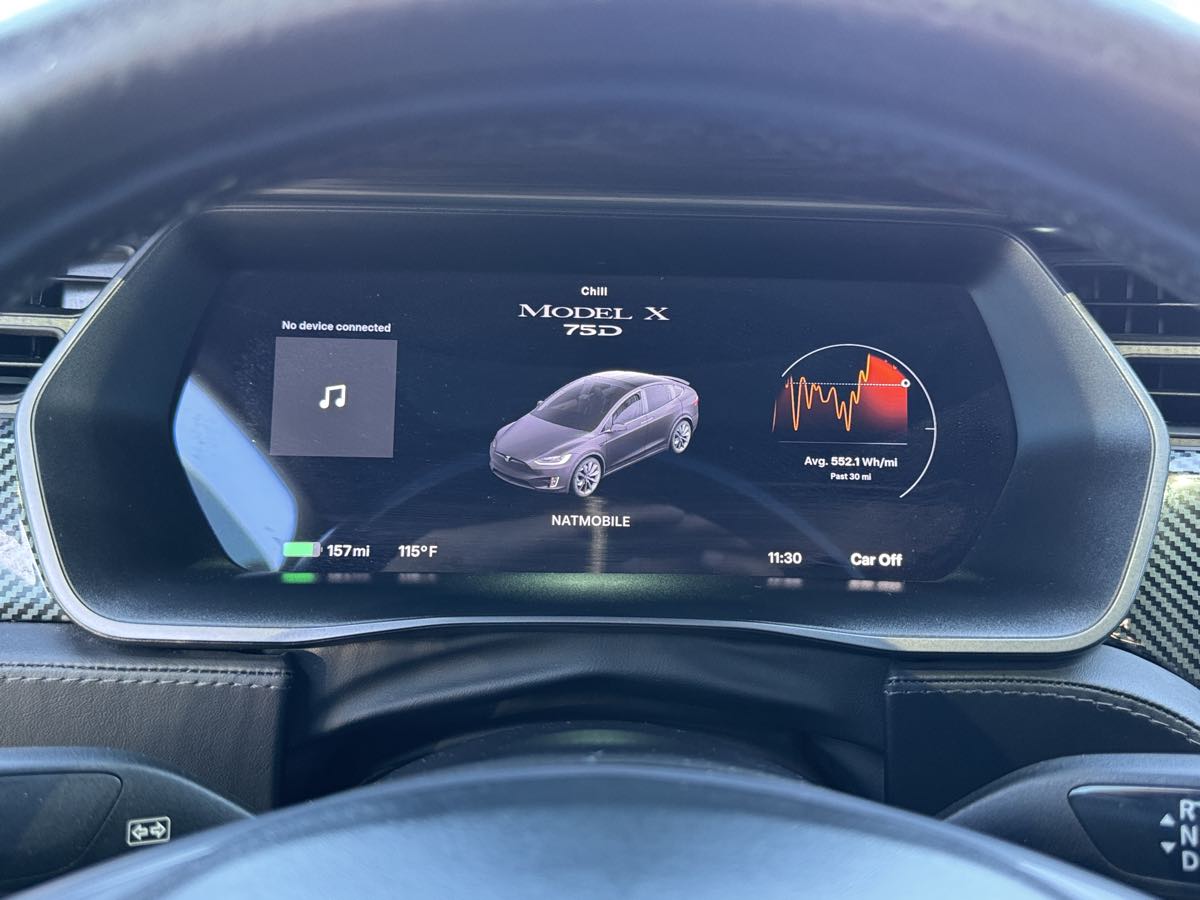 Tesla Model X photo 31