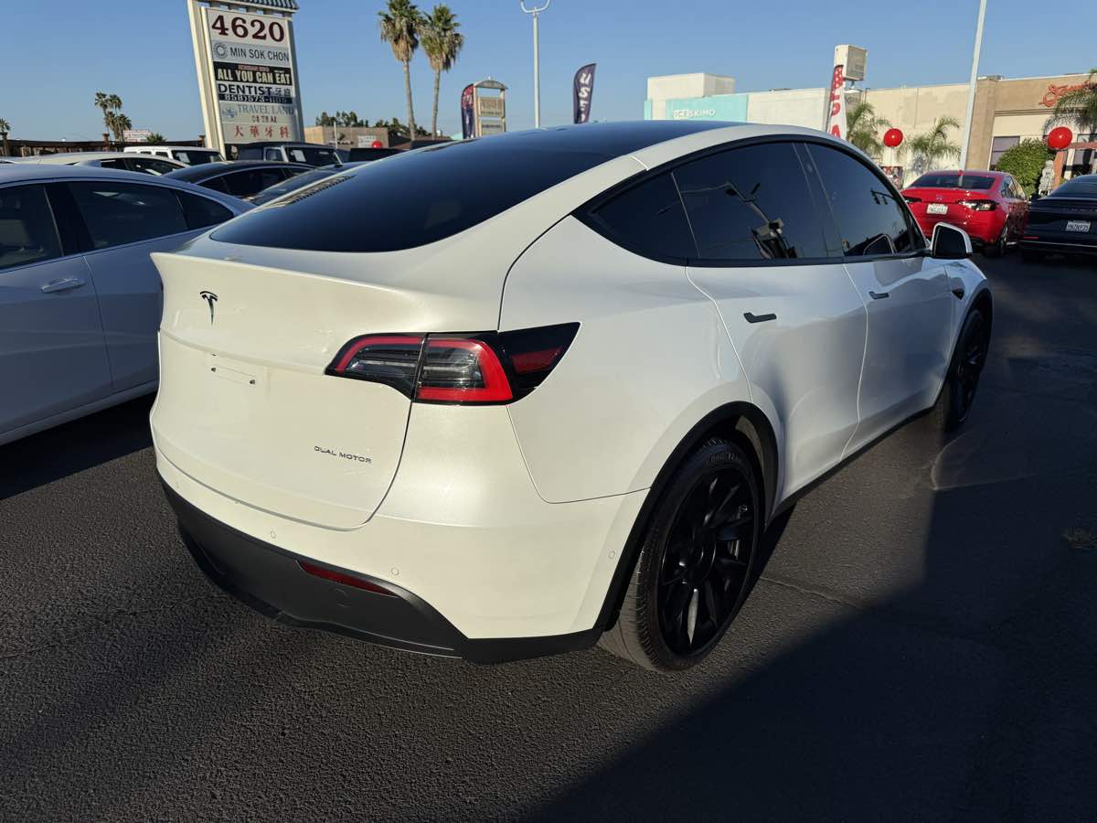Tesla Model Y photo 2