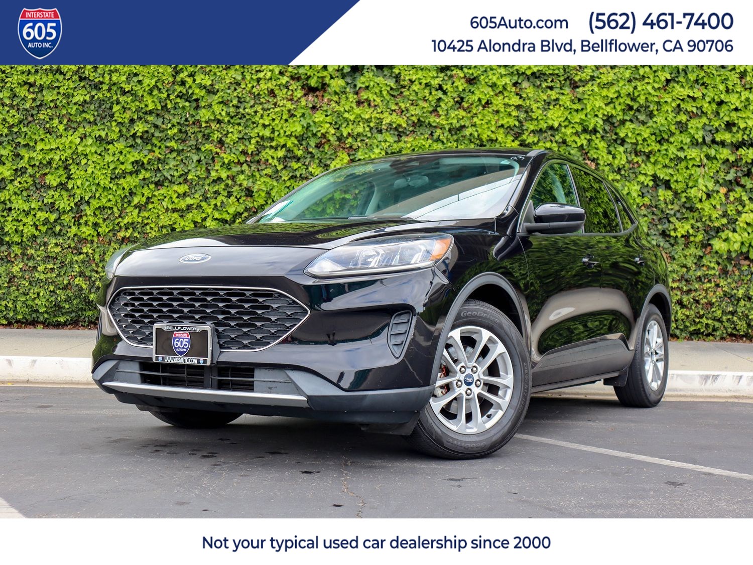 2021 Ford Escape SE FWD's photo