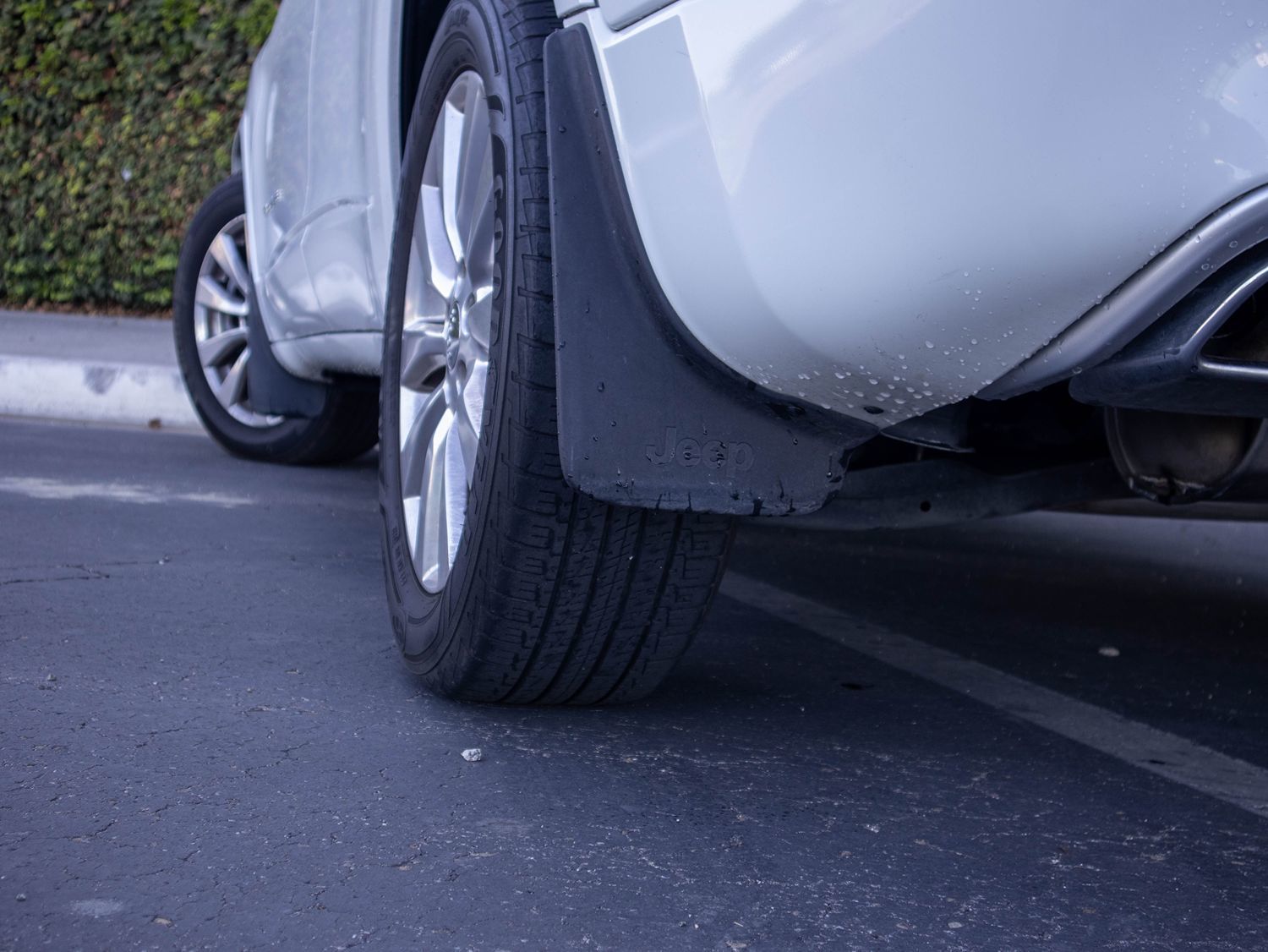 Image #15