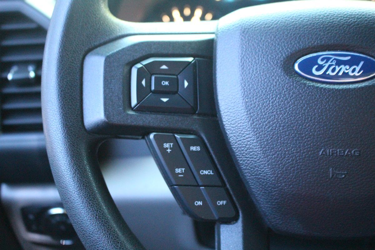 2019 Ford F-150 XL photo 11