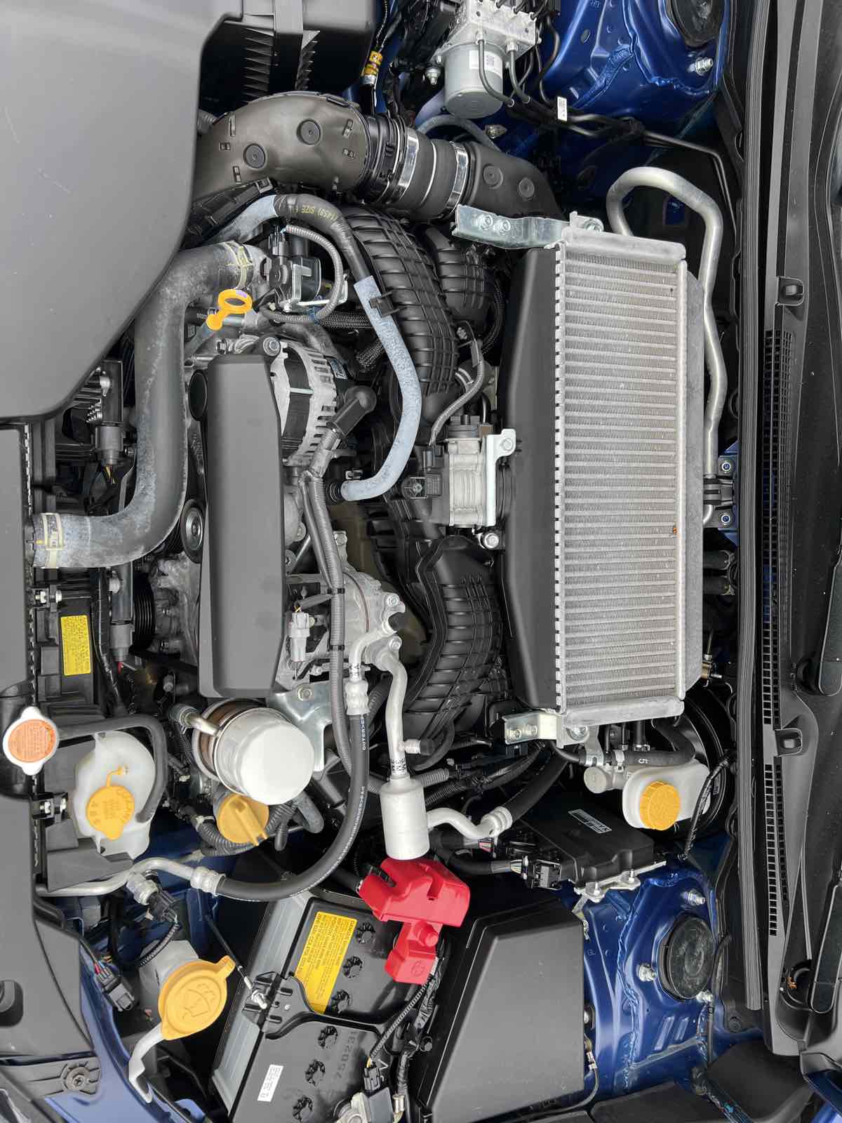 2022 Subaru WRX photo 22