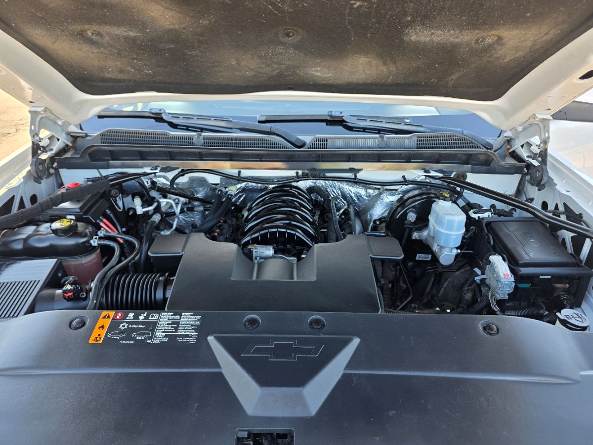 2018 Chevrolet Silverado 1500 LT Texas Edition photo 6
