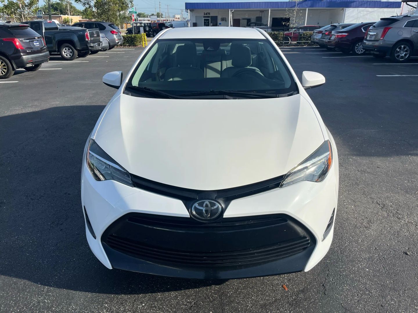 Toyota Corolla photo 8