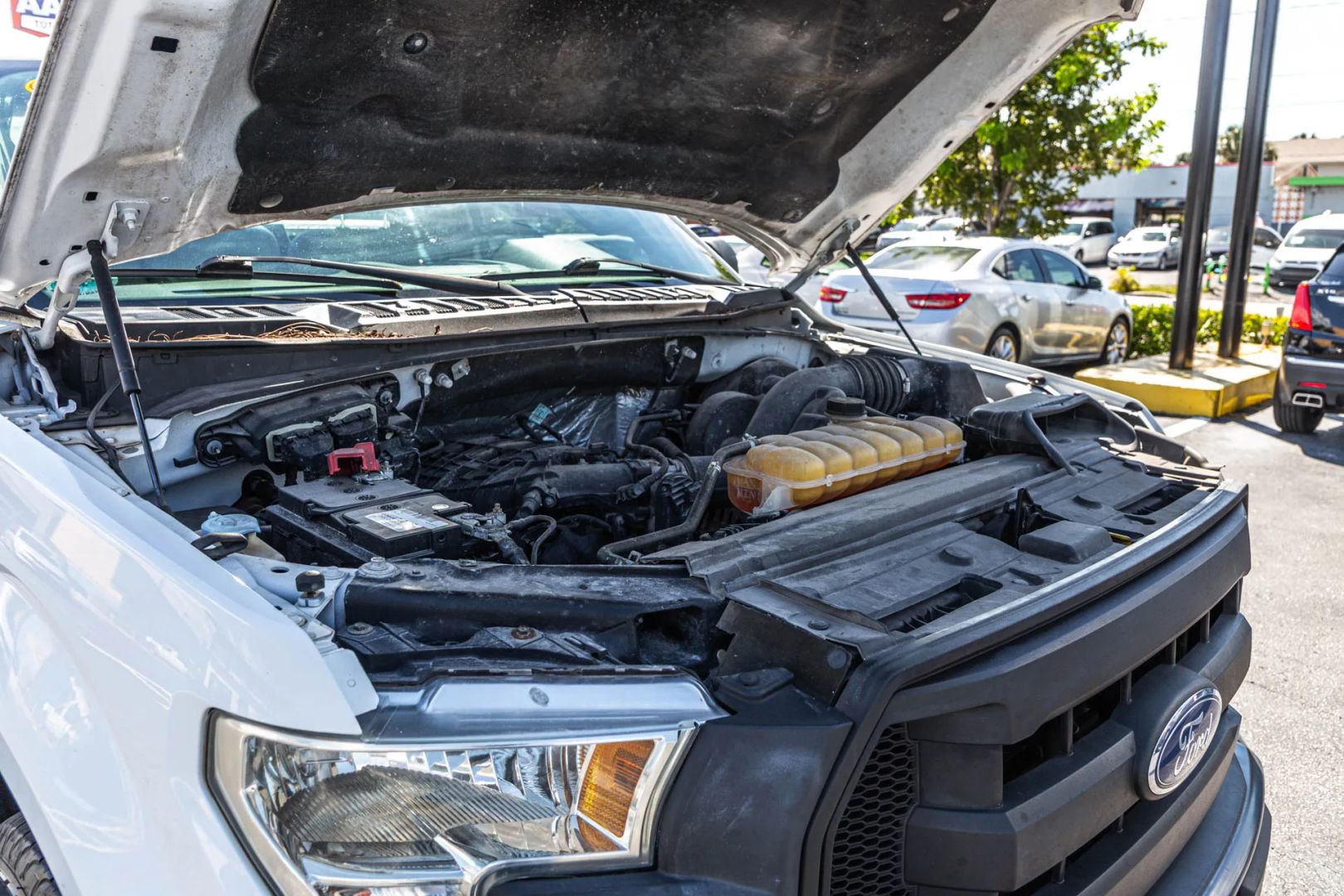 Photo 60 of this Ford F-150