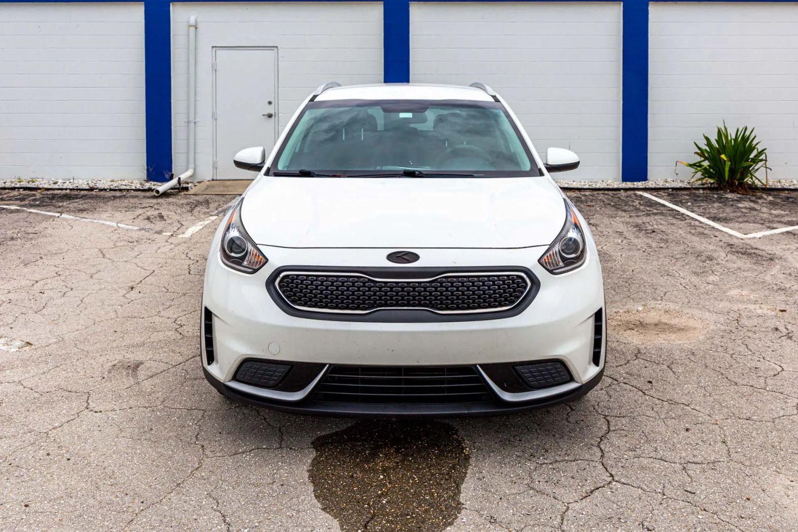 Kia Niro photo 49