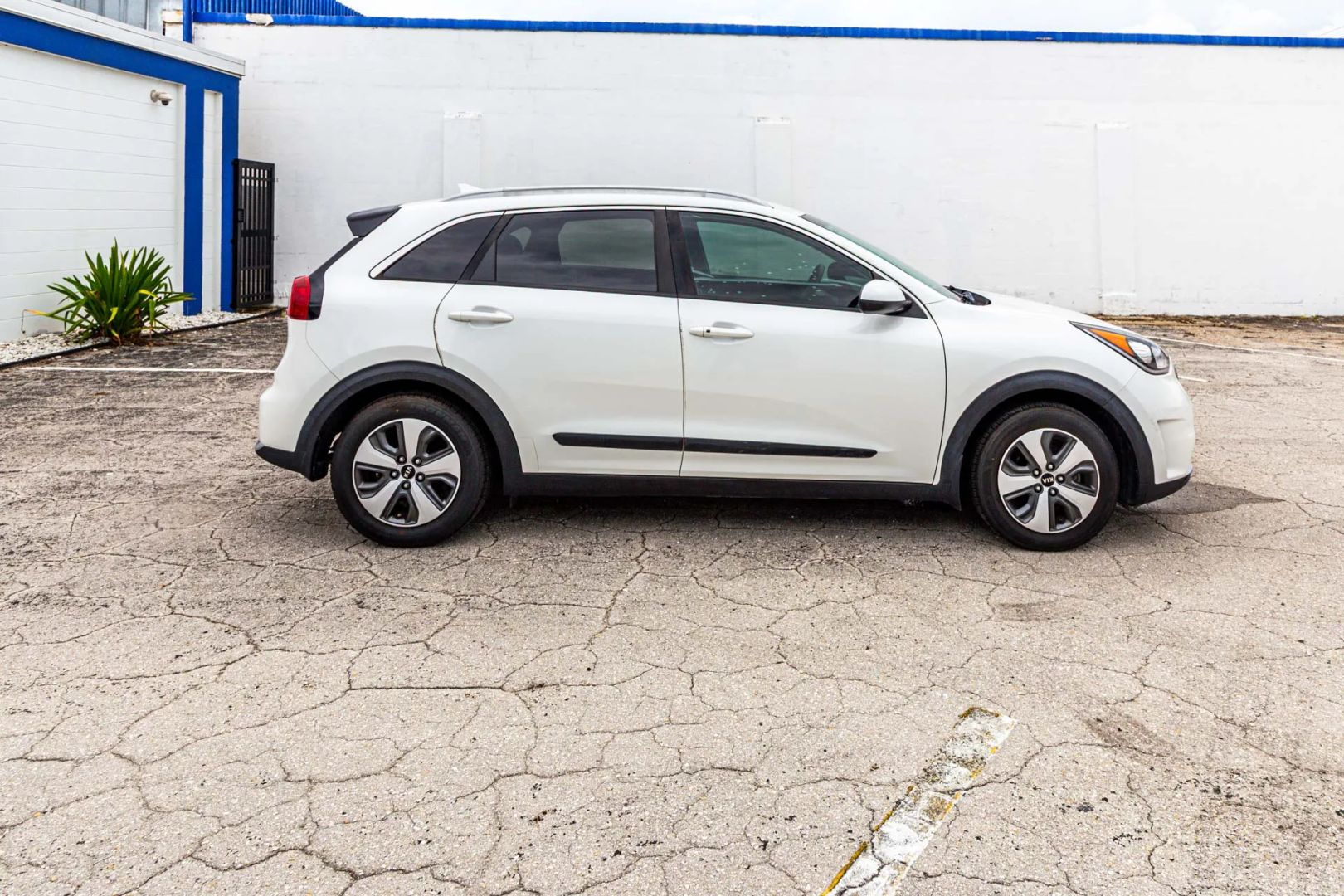 Kia Niro photo 51