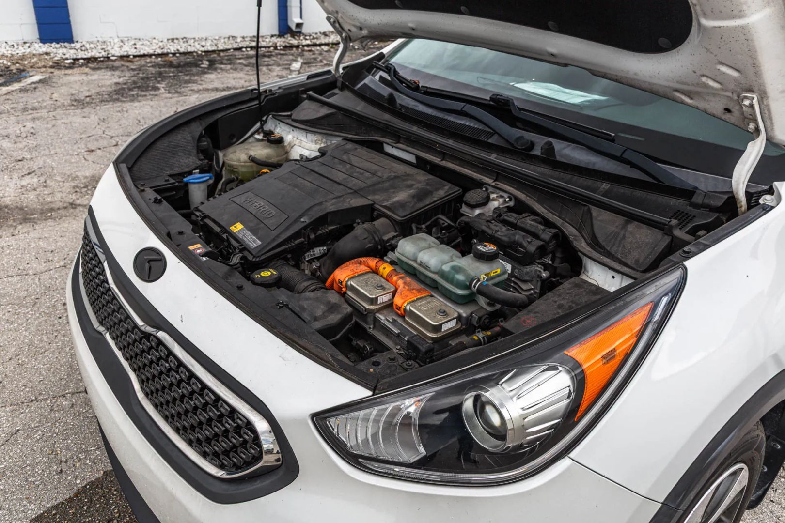 Kia Niro photo 107