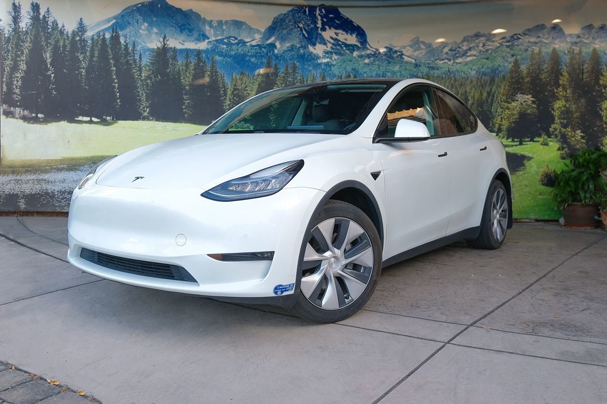 2020 Tesla Model Y Long Range Dual Motor All-Wheel Drive's photo