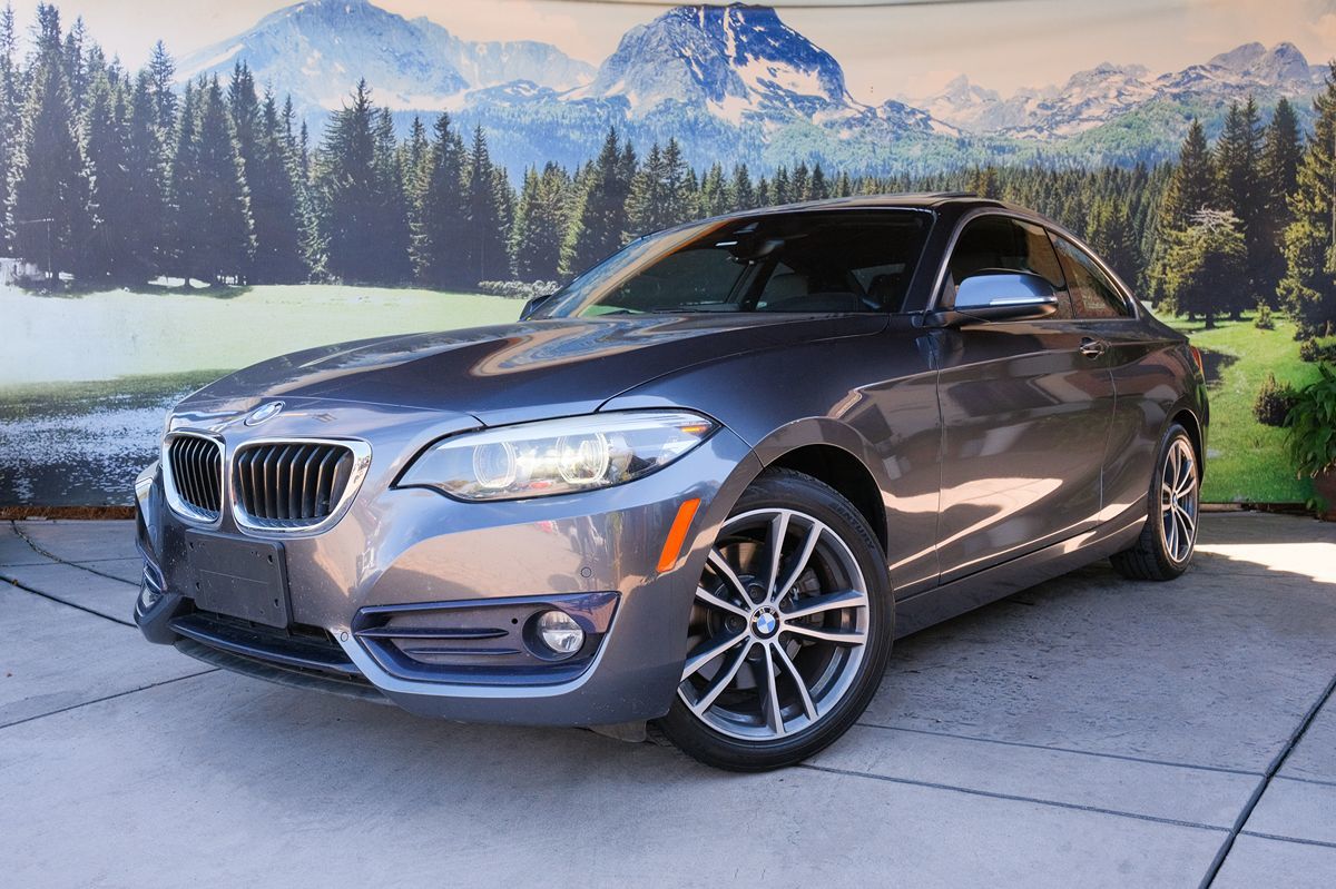 2019 BMW 2 Series 230i