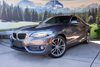2019 BMW 2 Series 230i