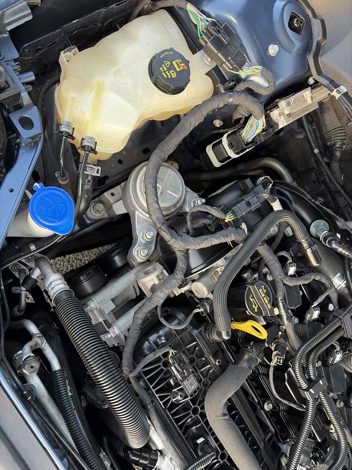 Ford Fusion photo 30