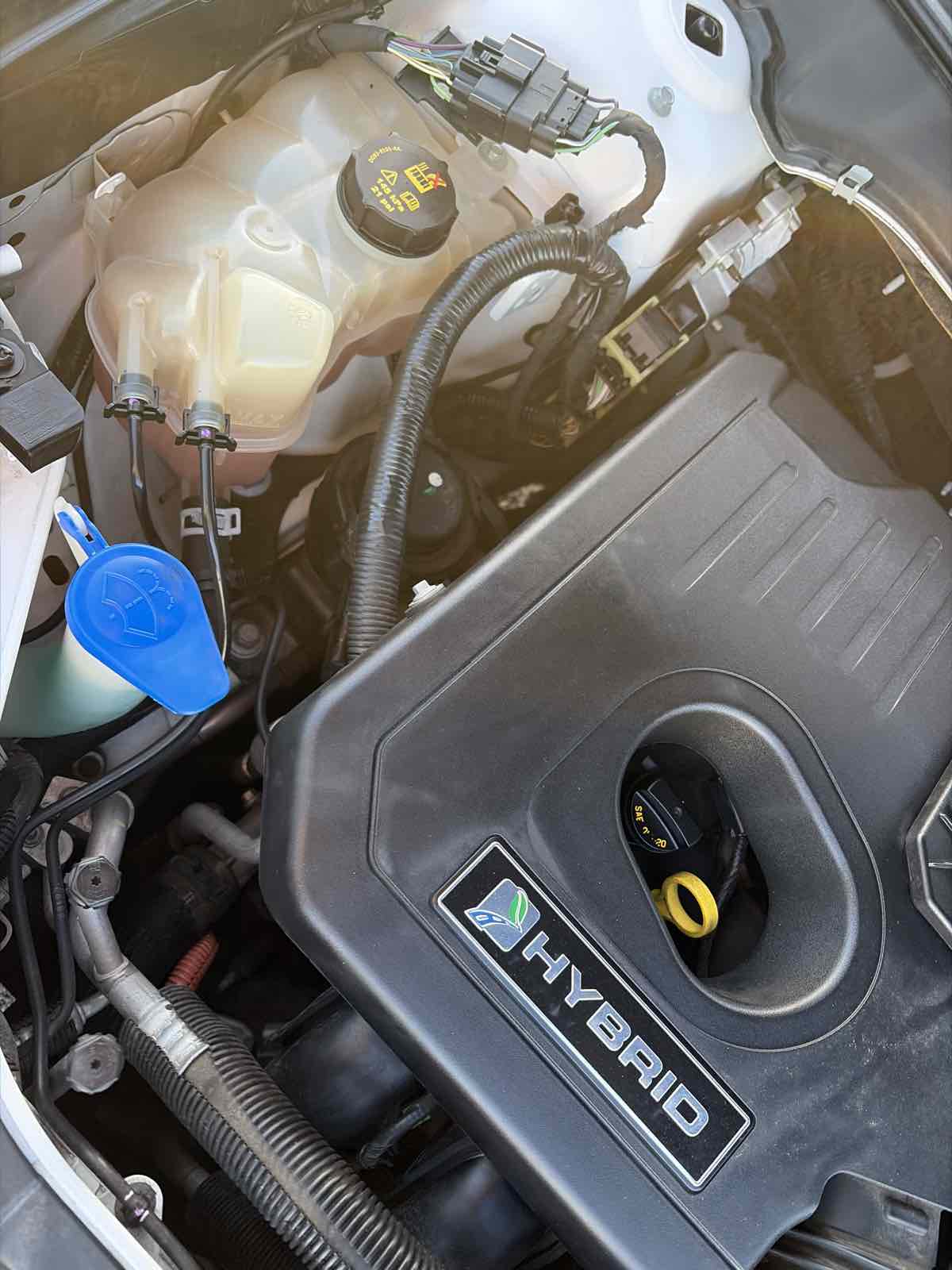 Ford Fusion photo 30