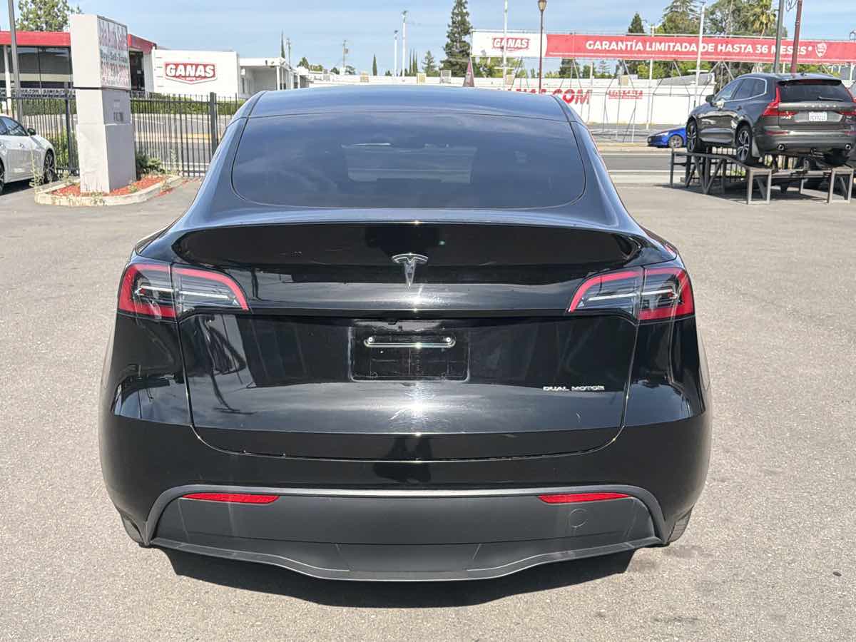 Tesla Model Y photo 6