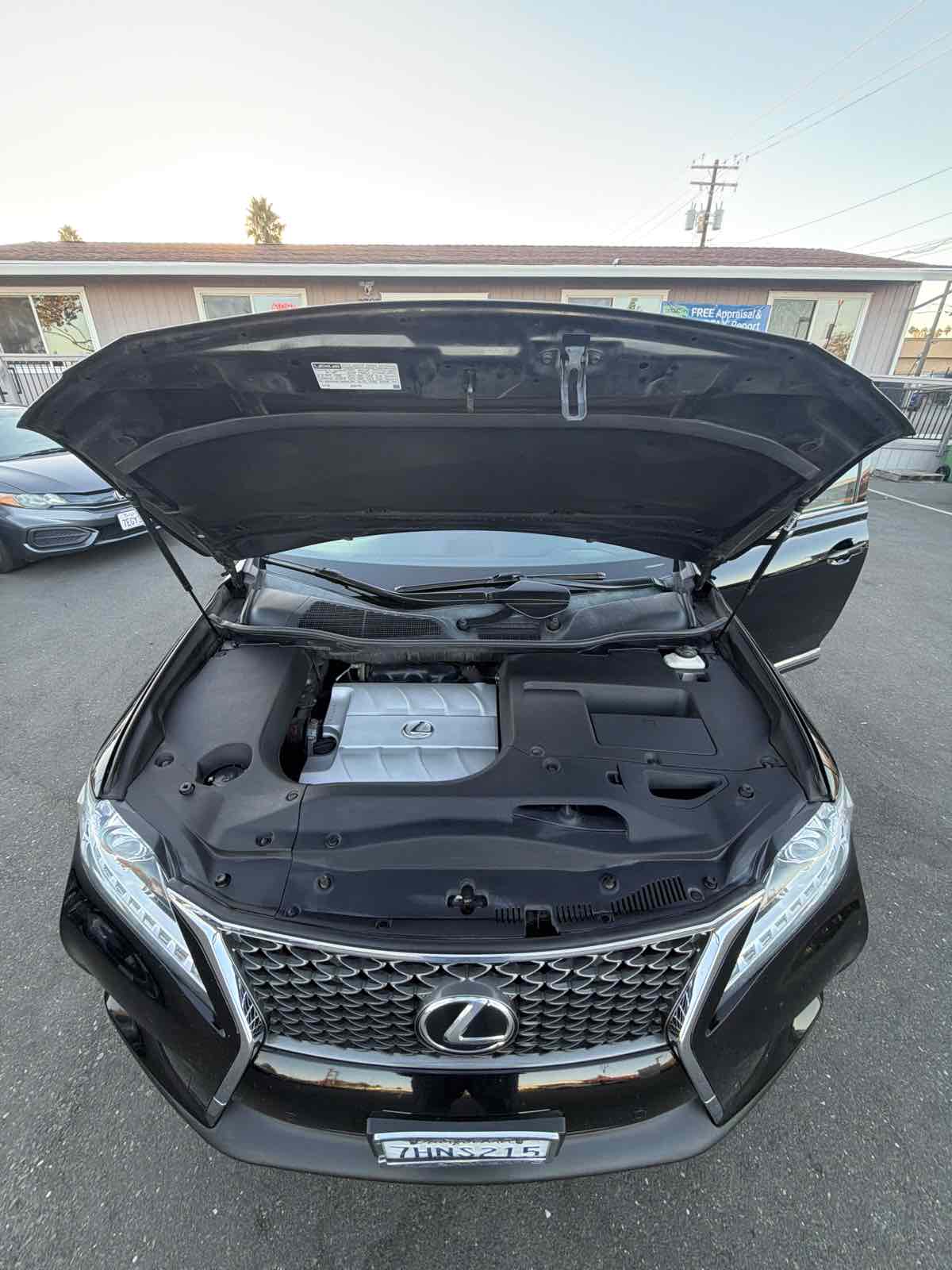 Image #18
