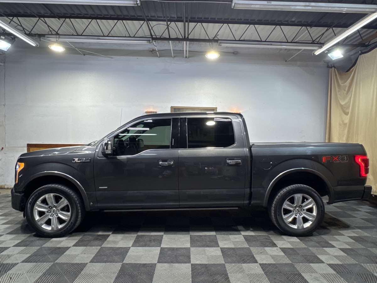 2016 Ford F-150 Platinum photo 2