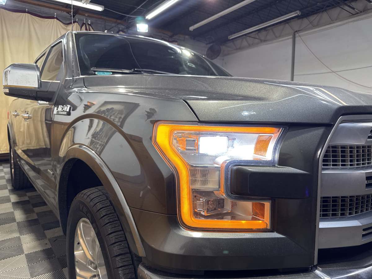 2016 Ford F-150 Platinum photo 7